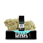 PLUG™ DNA – Blue Dream
